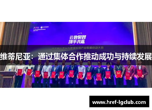 维蒂尼亚:通过集体合作推动成功与持续发展 维蒂尼亚:通过集体合作推动成功与持续发展