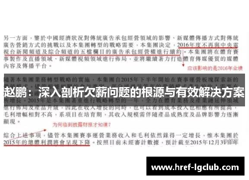 赵鹏:深入剖析欠薪问题的根源与有效解决方案 赵鹏:深入剖析欠薪问题的根源与有效解决方案